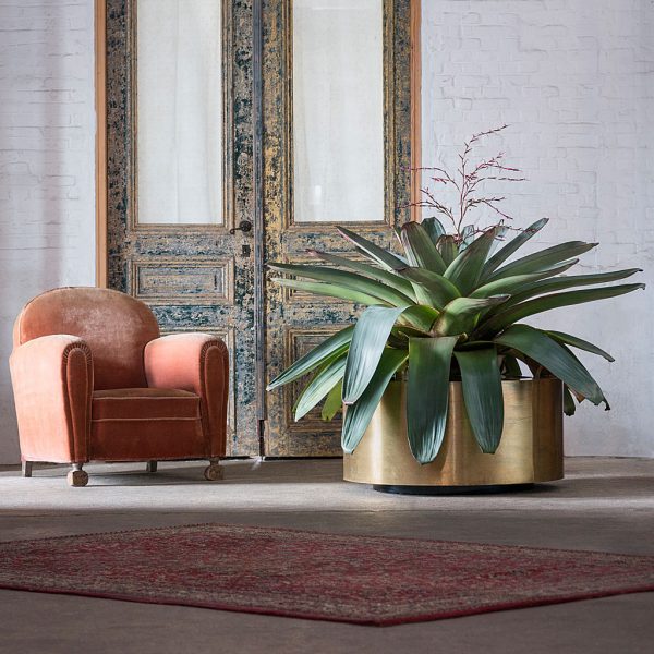Image of large polished brass planter with architectural plant within, shown indoors next to a comfortable lounge chair