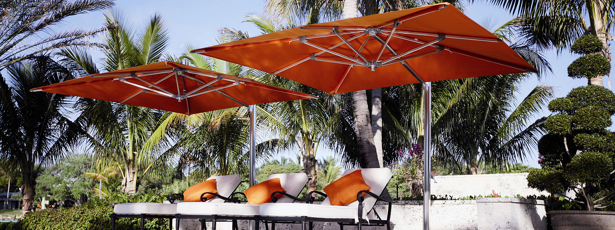 Image of pair of Tuuci Ocean Master Max cantilever parasols with polished aluminum mast and ribs and crimson canopies, shown above sun loungers with palm trees in the background