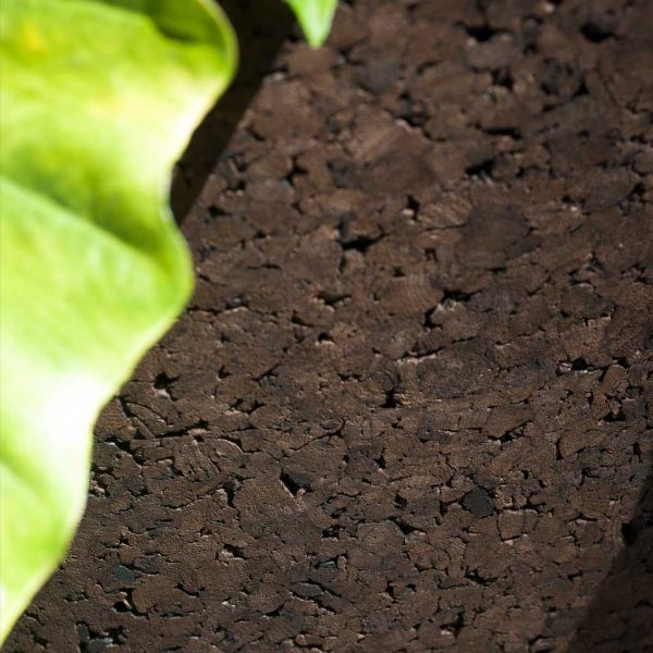 Image of detail of RODA Bush On brown cork plant pot and Colocasia leaf