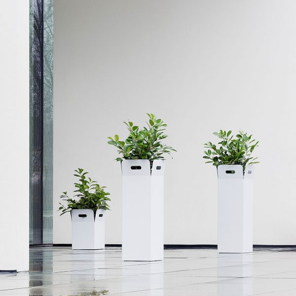 Image of Box minimalist outdoor planters in white powder coated galvanised steel