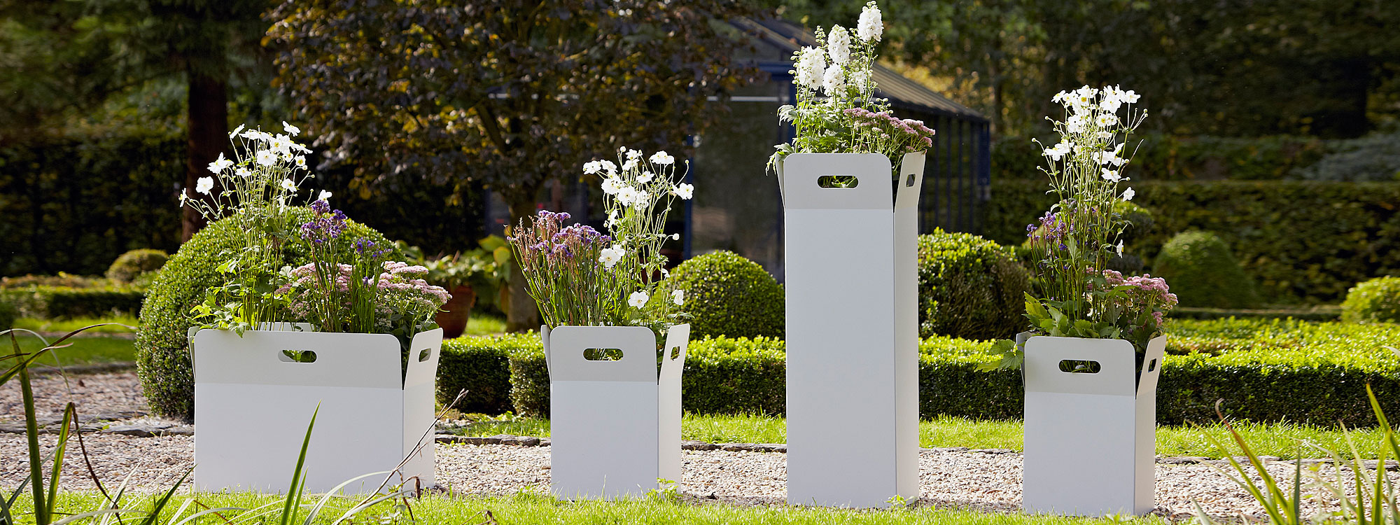 Image of different sizes of Flora Box modern planters. planted with Hydrangeas and Japanese anemones