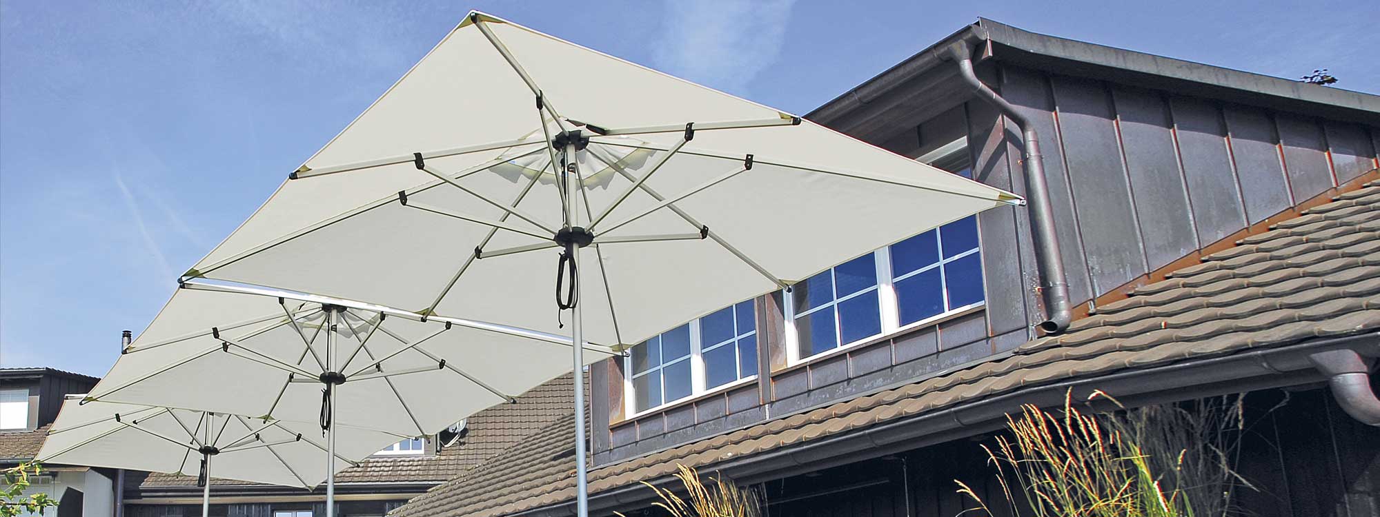 Image showing row of Shademaker Libra white garden parasols with aluminium mast & ribs