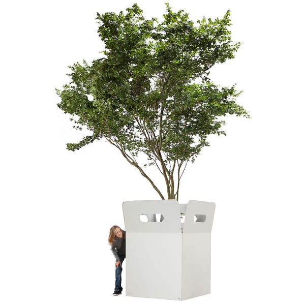 Large Box contemporary tree planter is a modern plant pot with high quality indoor or outdoor planting insert by Flora contract planter company.