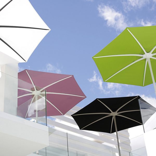 Image of group of Royal Botania Palma parasols in various colour finishes
