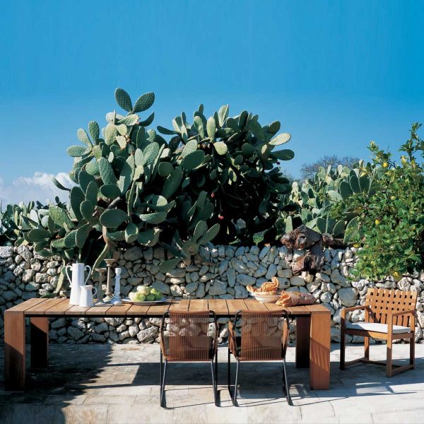 Image of RODA Piero rectangular teak table with Harp modern garden chairs, shown on rustic terrace with large cactus in the background