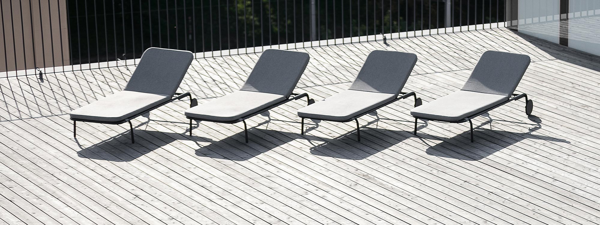 Image of row of 4 Starling sun loungers in anthracite stainless steel with light-grey cushions, on wooden decking in the sun