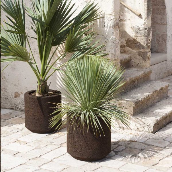 Image of pair of RODA Cortica cork planters planted with Trachycarpus and Cordyline plants, shown on cobblestoned floor with stone steps in background