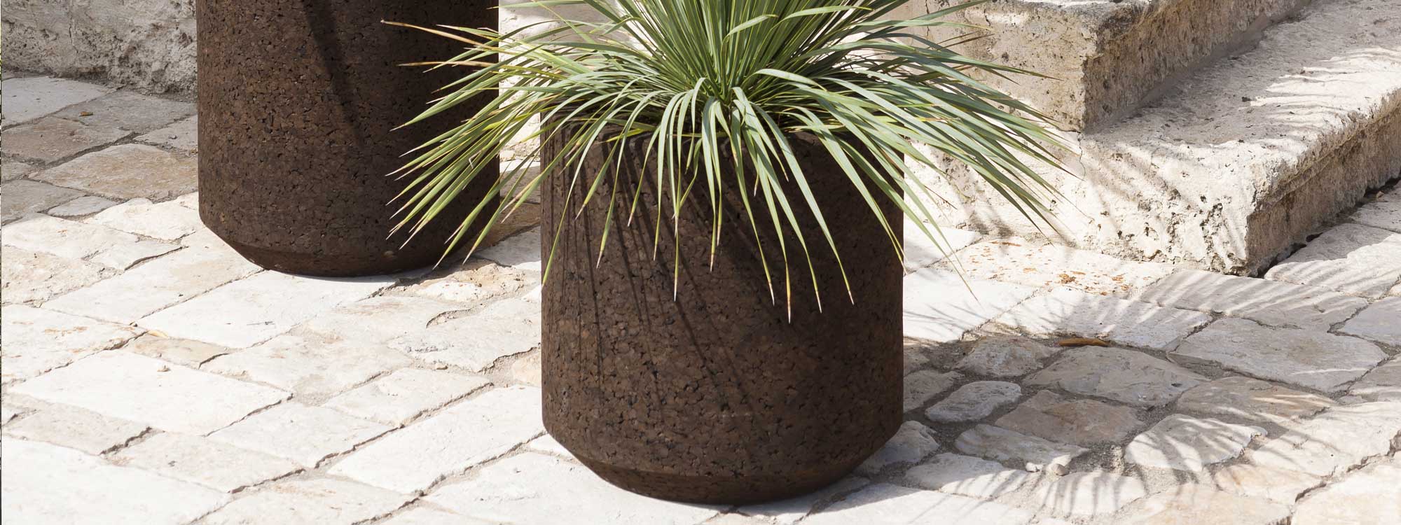 Image of RODA Cortica cork planter with Cordyline plant, shown on cobblestone floor