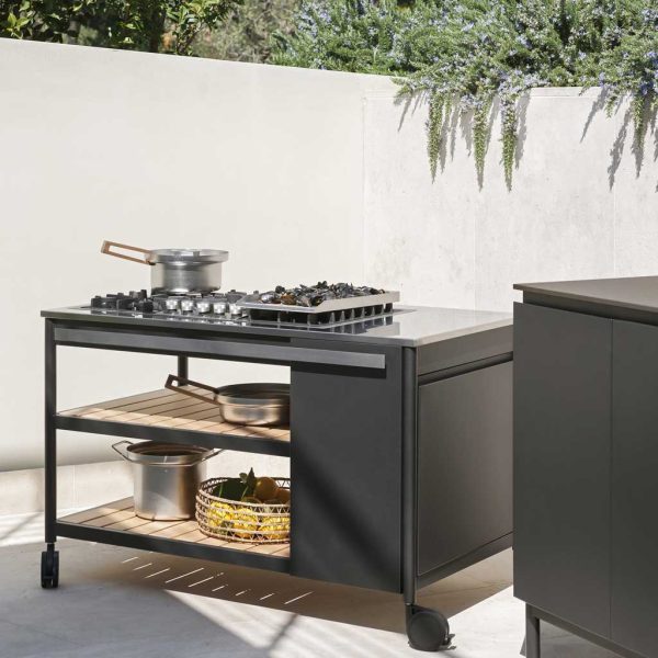 Image of RODA Norma modern gas BBQ with wheels
