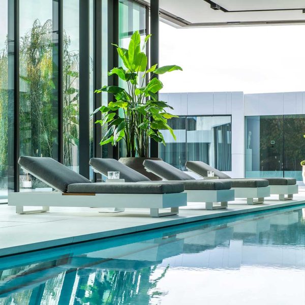 Image of row of 4 Bari white sun loungers with grey cushions on luxurious indoor poolside, with large exotic plant in the background