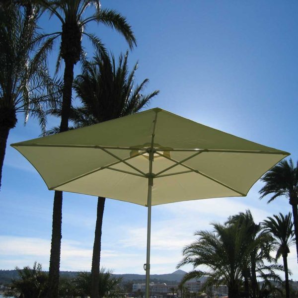 Image of underside of Prostor P50 small mast parasol , with palm trees and blue sky in the background