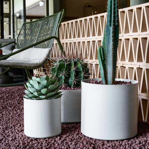 Image of OiPots white circular planters planted with cactuses, shown on gravel floor
