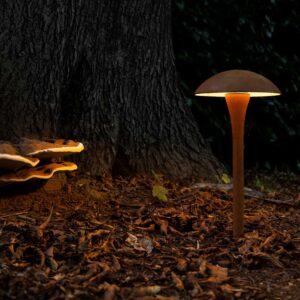 Night time image of Fungy Bollard Downlight by Royal Botania Lighting
