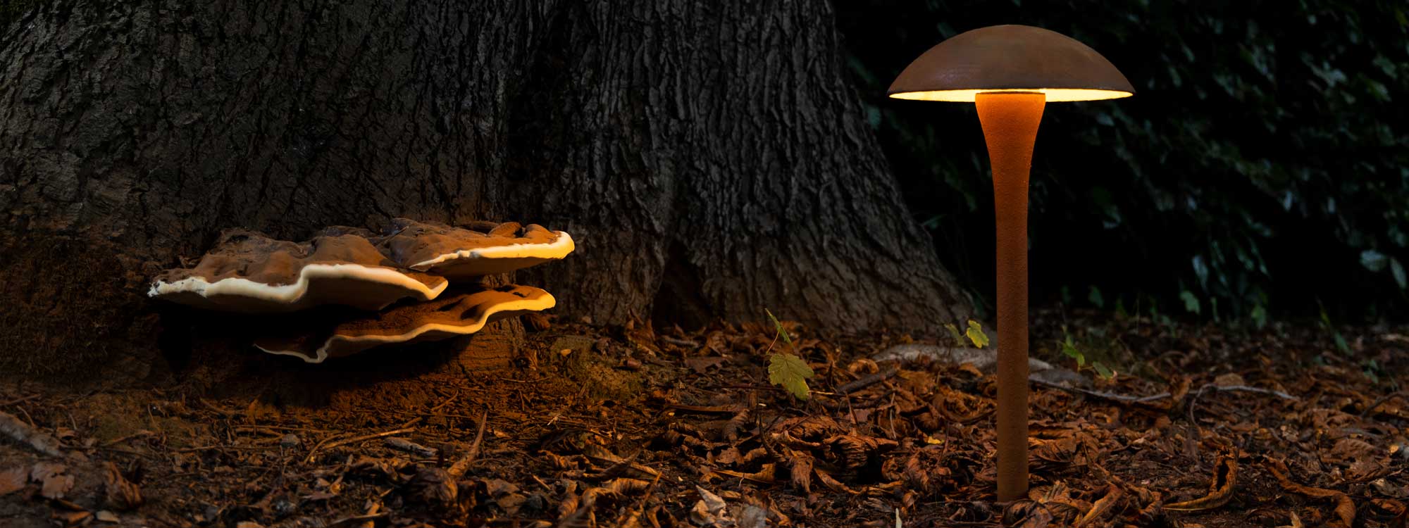 Nighttime image of Royal Botania Fungy exterior bollard light, with tree trunk and funghi growing from it